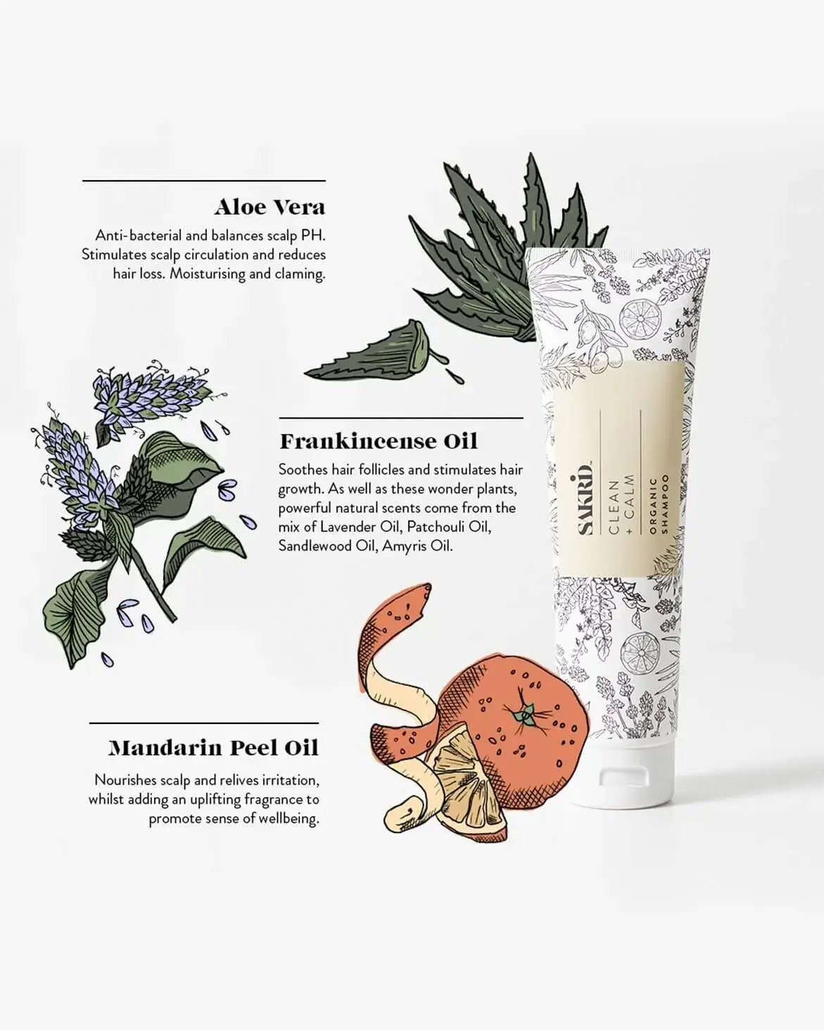 Chemical Free Organic plant based Shampoo and Conditioner Eco-Friendly Set 300ml - Image 2