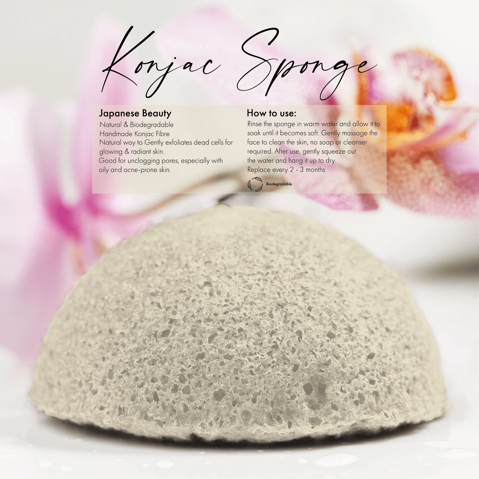Natural Konjac Sponge - Image 2